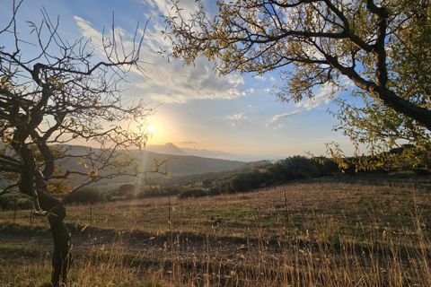 Landejendom i Collesano, Palermo, Collesano - € 85.000 | Ref: 10621 - foto 6